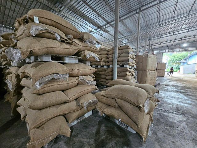 Vietnam Robusta Green Coffee Beans - Image 2