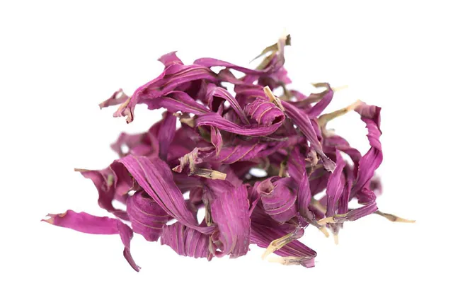 Dried Echinacea