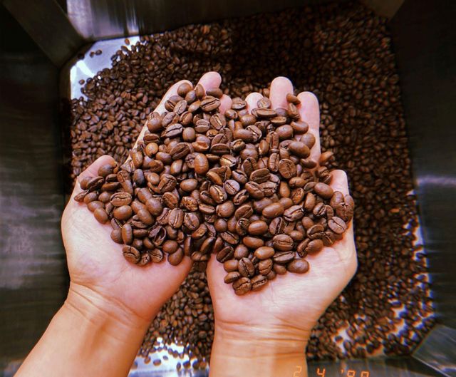 Vietnam Robusta Coffee 3