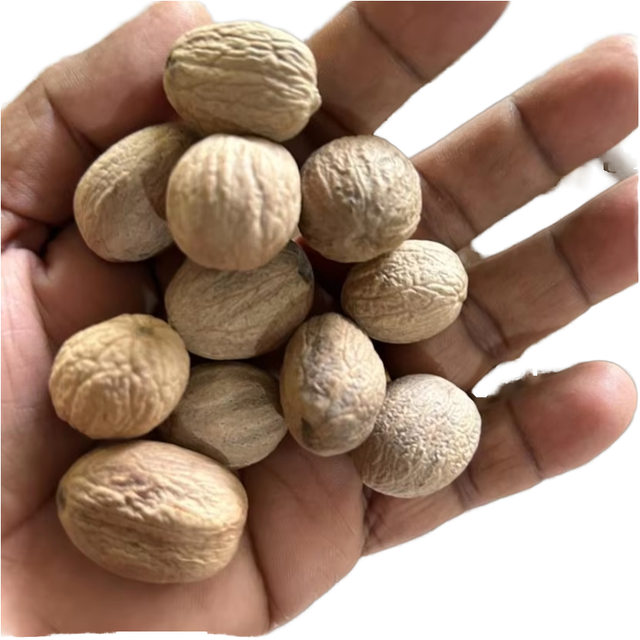 Grade A Nutmeg Seeds