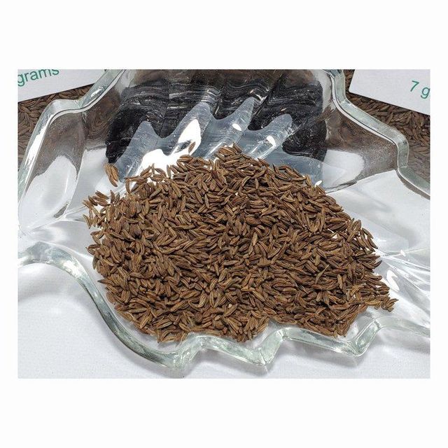 Caraway Seeds Image 3