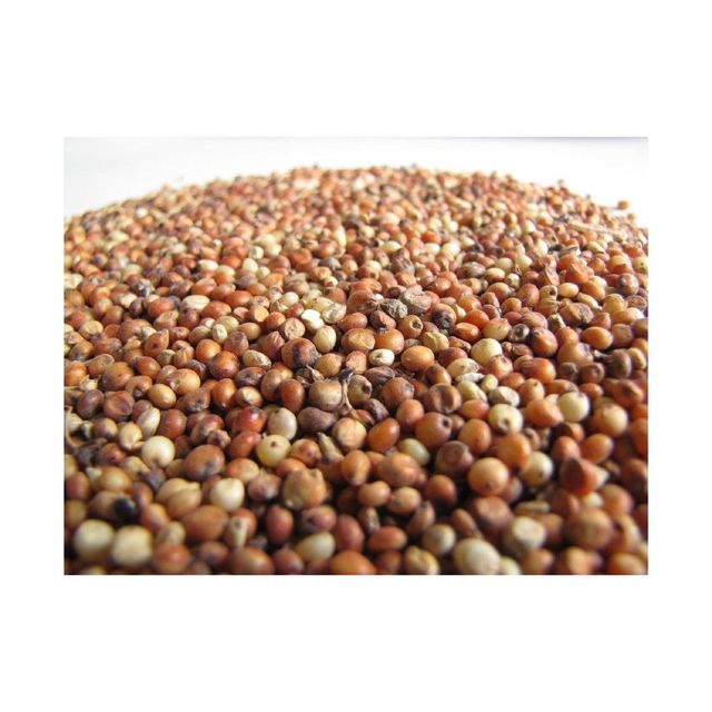 Bulk Sorghum Grain
