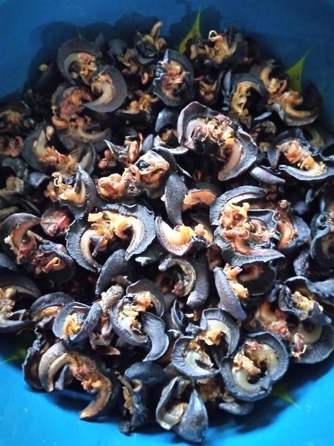 Fresh & Dried Snail Meat Mix
