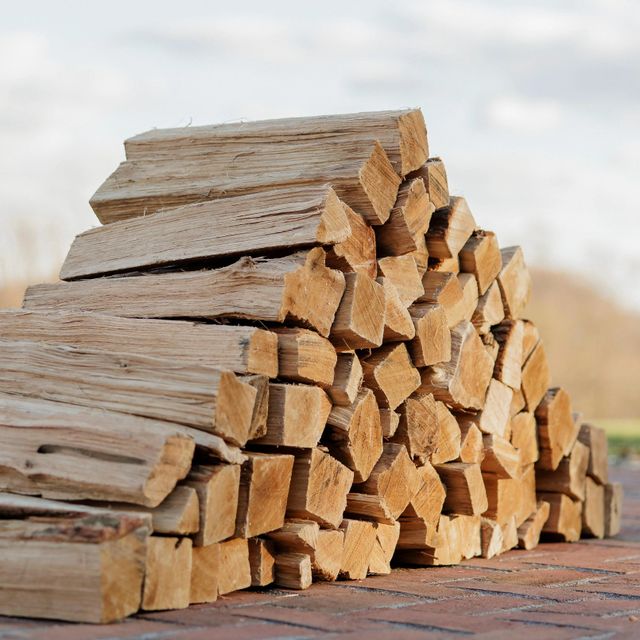 Dried Hardwood Firewood Stick Image 2