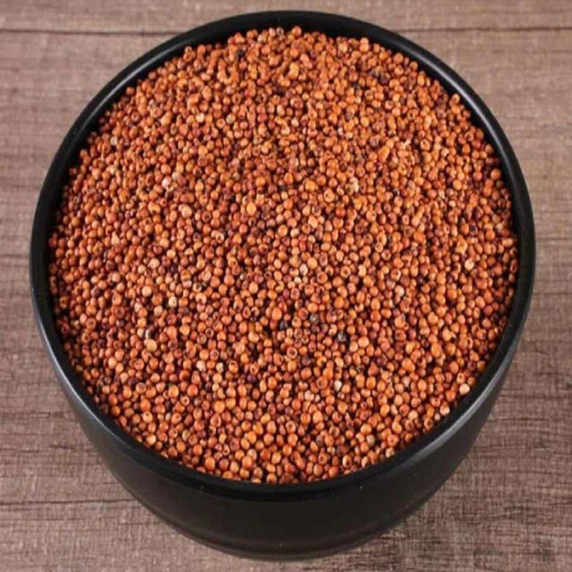 Finger Millet - Fresh & Ready to Use