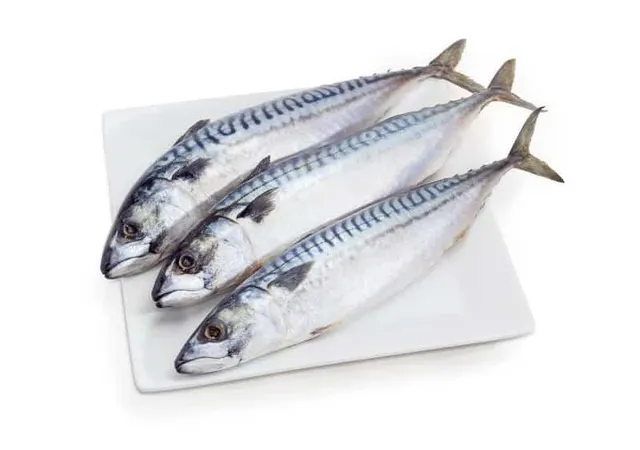 Frozen Atlantic Horse Mackerel Whole Round