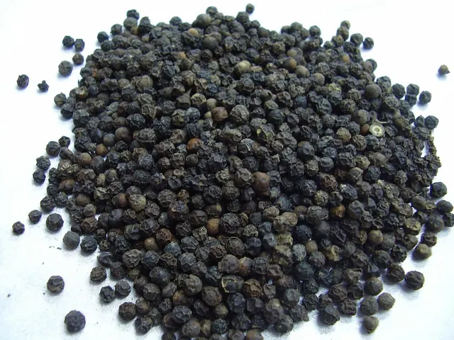 Sun-dried black peppercorns ready for packaging