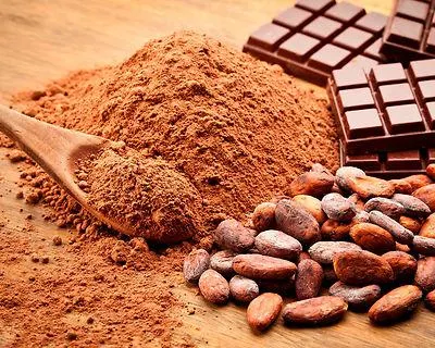 Organic Raw Cacao Powder 25kg