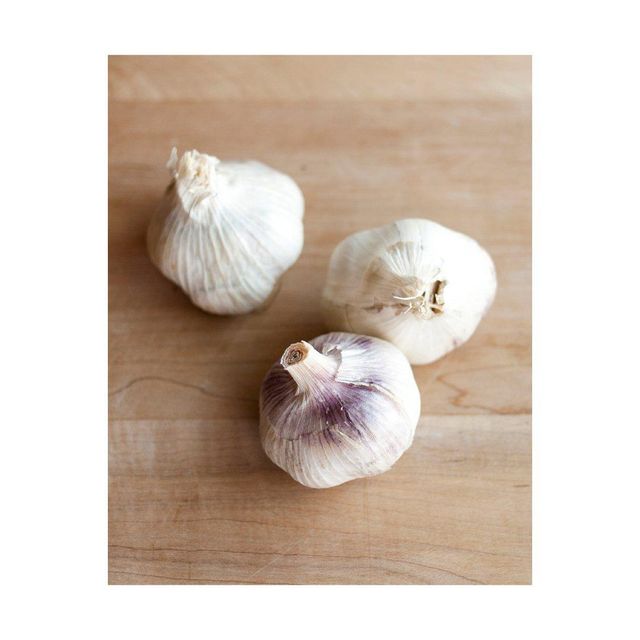 Purple White Garlic