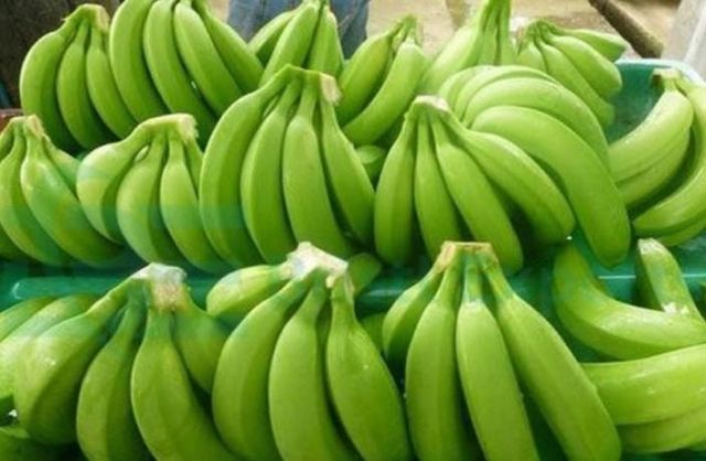 Fresh Cavendish Banana