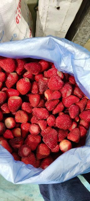 Frozen Strawberry IQF Product