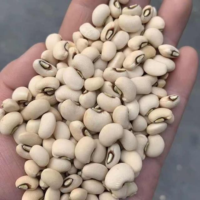 High-Quality Black Eyed Peas in Bulk
