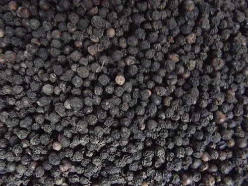 Organic whole black pepper grains in natural setting