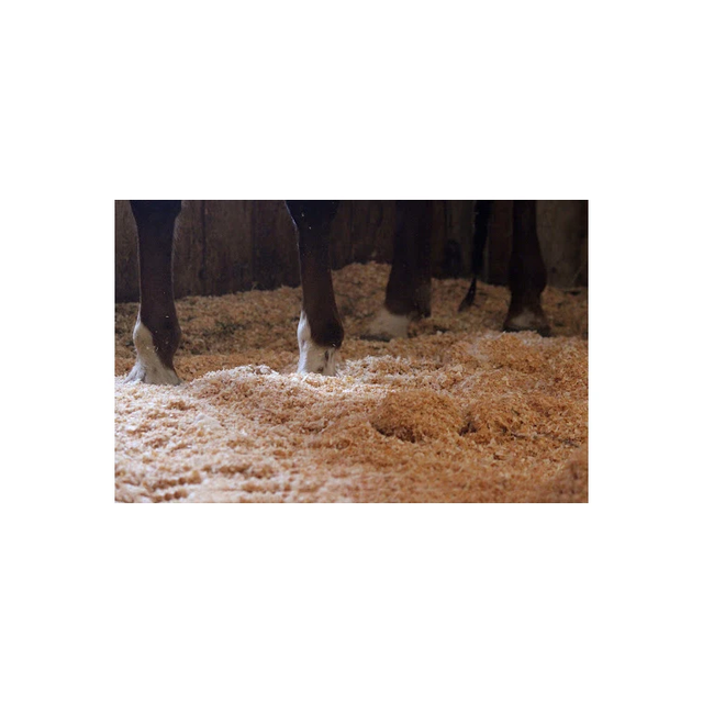 Pine Wood Shavings - Premium Grade