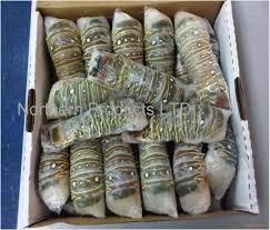 Frozen Lobster in Packaging