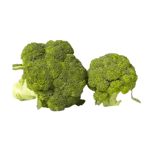 Fresh Broccoli 2