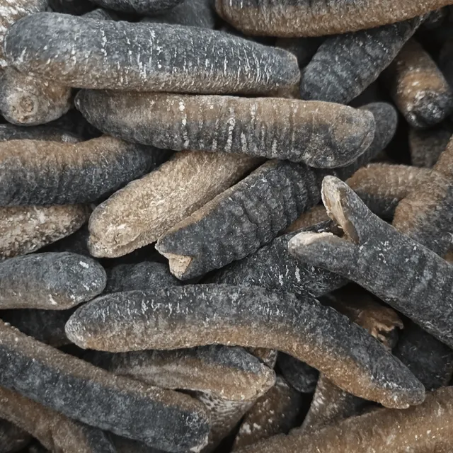 Vacuum Pack Sea Cucumber