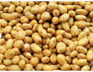 Fresh Yellow Potato