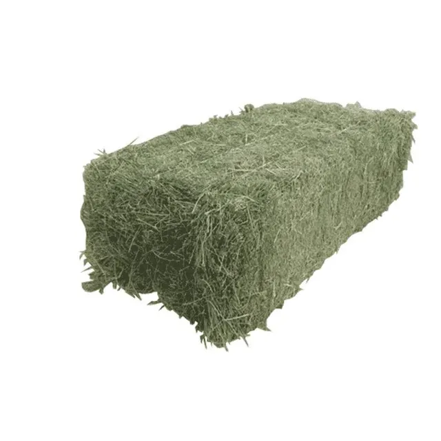 Green Grass Hay for Cattle