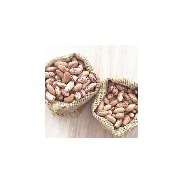 Bulk Sugar Beans - Commercial Use