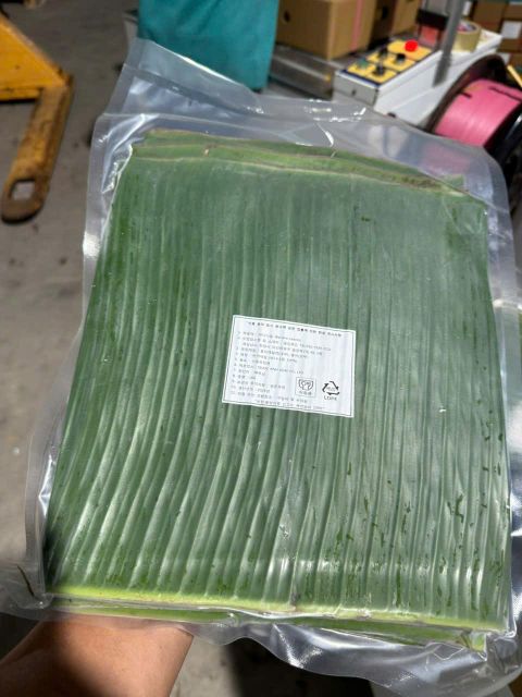 Frozen Banana Leaves