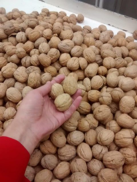 Organic Walnut Halves & Pieces