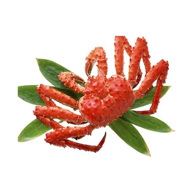 Fresh King Crab