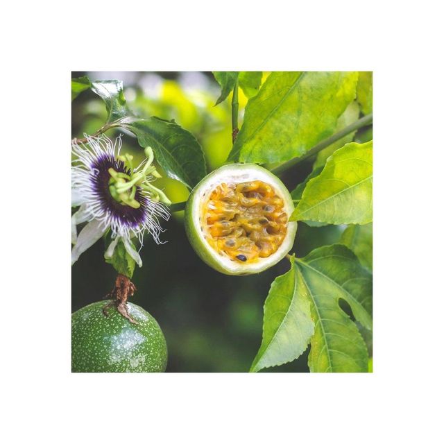 Fresh passion fruit