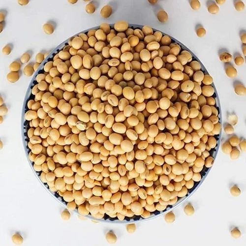 Soybean Meal