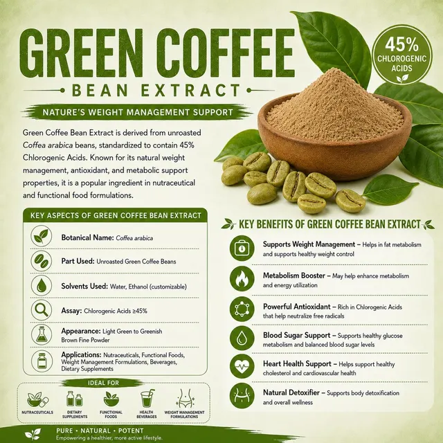 Pure Green Coffee Bean Extract Bottle