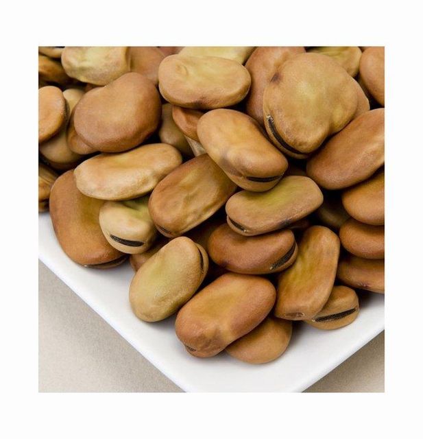 Horse Beans Close-up