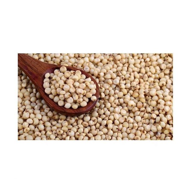 Sorghum Grains for Human Consumption