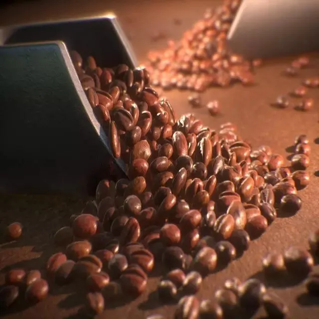 Bulk Packaging of FENICIA Arabica Coffee Beans