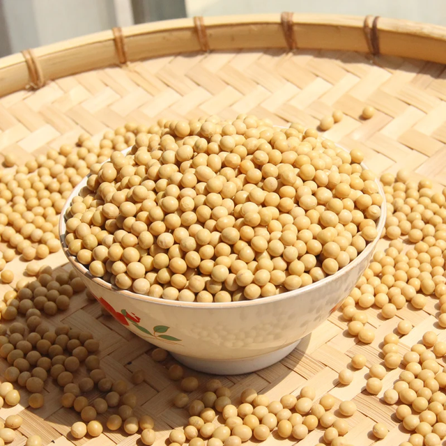 Organic Soybeans in Bulk