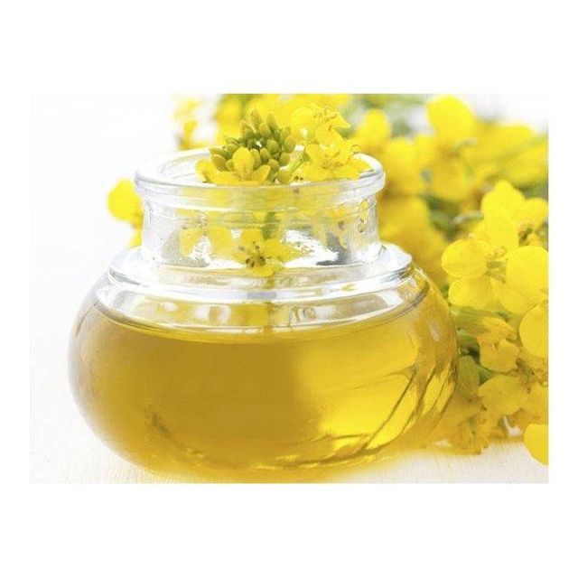 Canola Oil in Container