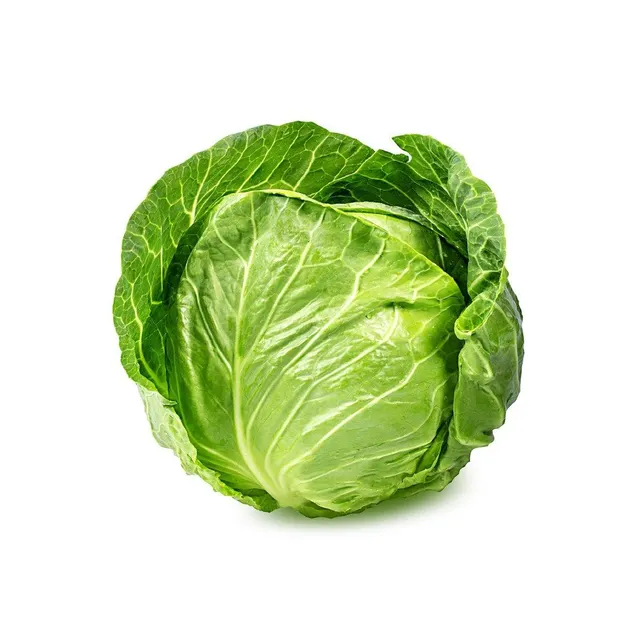 Fresh cabbage