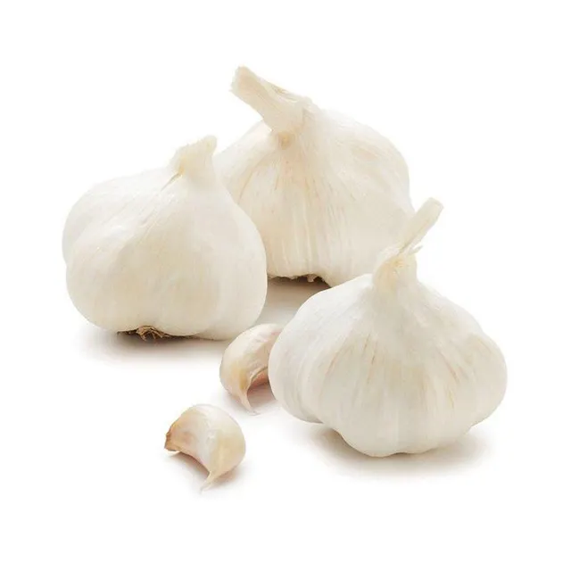 Fresh White Garlic