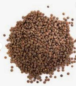 Premium Dried Red Kidney Beans