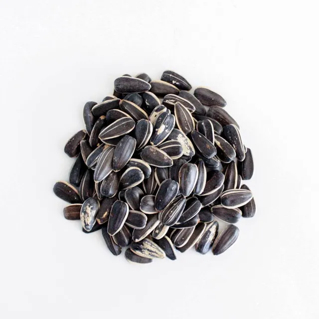 Sunflower seeds with natural shine and freshness
