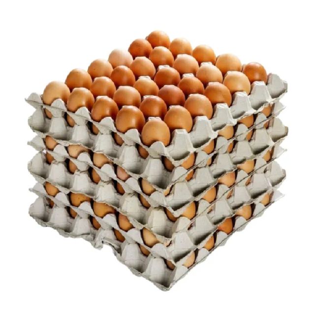 Premium Eggs Image 4