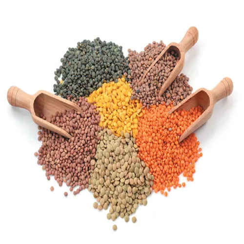 Green Lentils Image 2