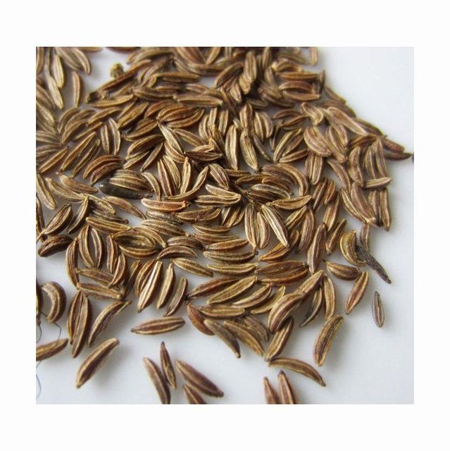 Caraway Seeds Image 1