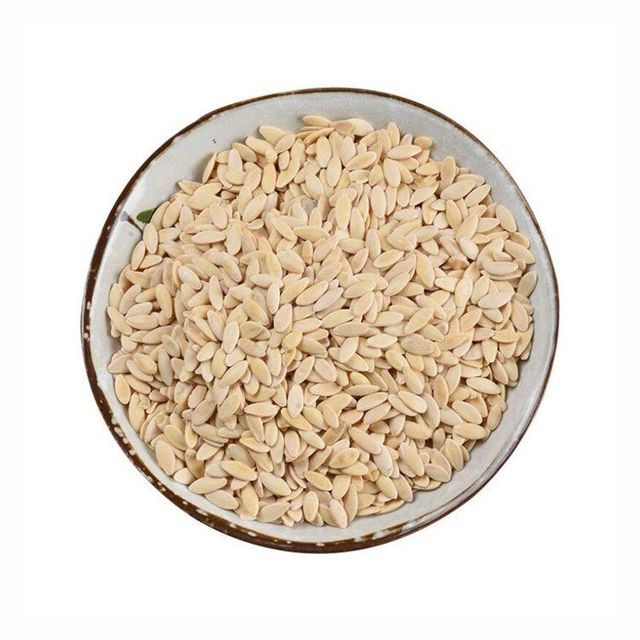 Cucumber Seeds 3