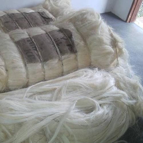 Sisal Fiber 1