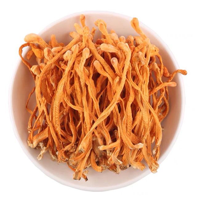 Organic Dried Cordyceps Militaris Mushroom Big Spore Head - Image 1