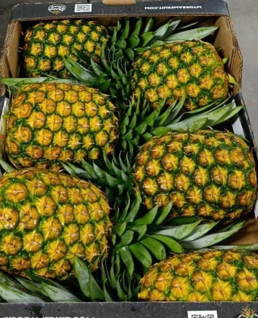 Fresh Pineapple Product
