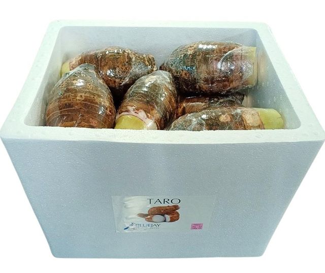 その他 tarou Taro from United Kingdom - Sell wholesale by Blue Jay Oriental