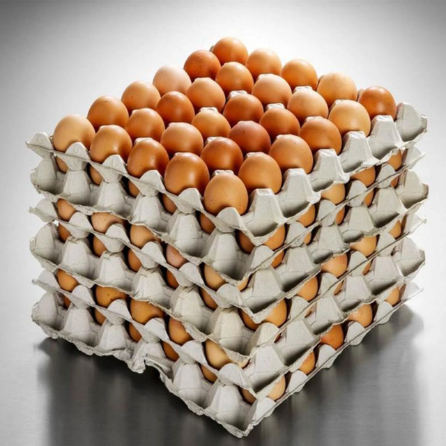 Quail Egg