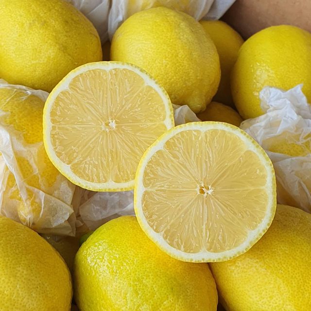 Export Quality Eureka Lemon