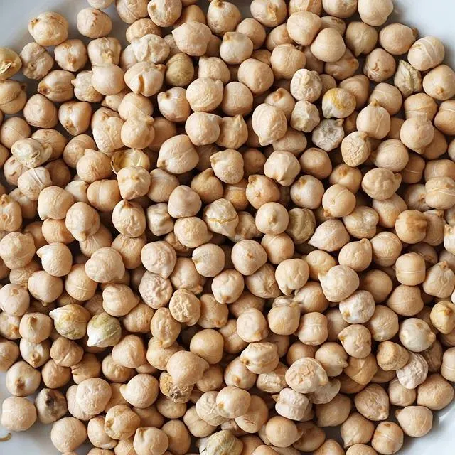 Kabuli Chickpeas - Bulk Packaging